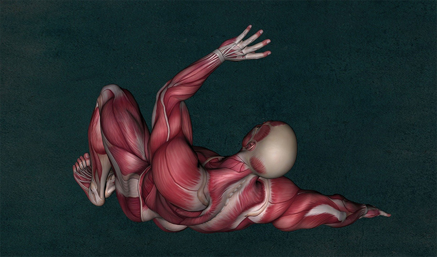 New Muscular Dystrophy Treatments 2022