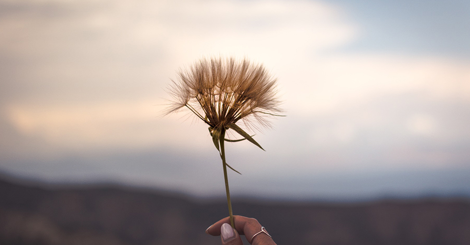  What’s after platinum-based chemo? 