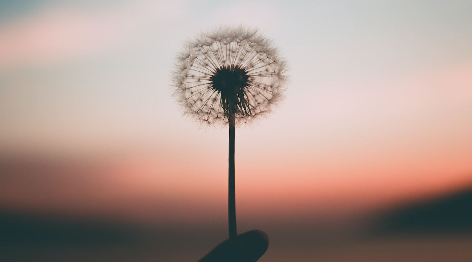 Changing the story: How nitisinone brings hope back for HT-1 and AKU patients