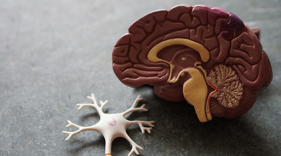 New Neuroblastoma Treatments 2022