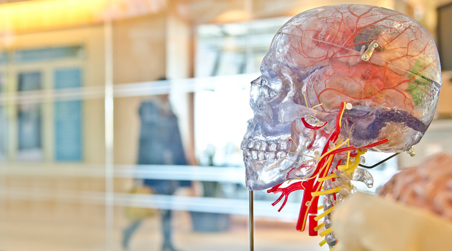 New Spinal Muscular Atrophy Treatments 2022