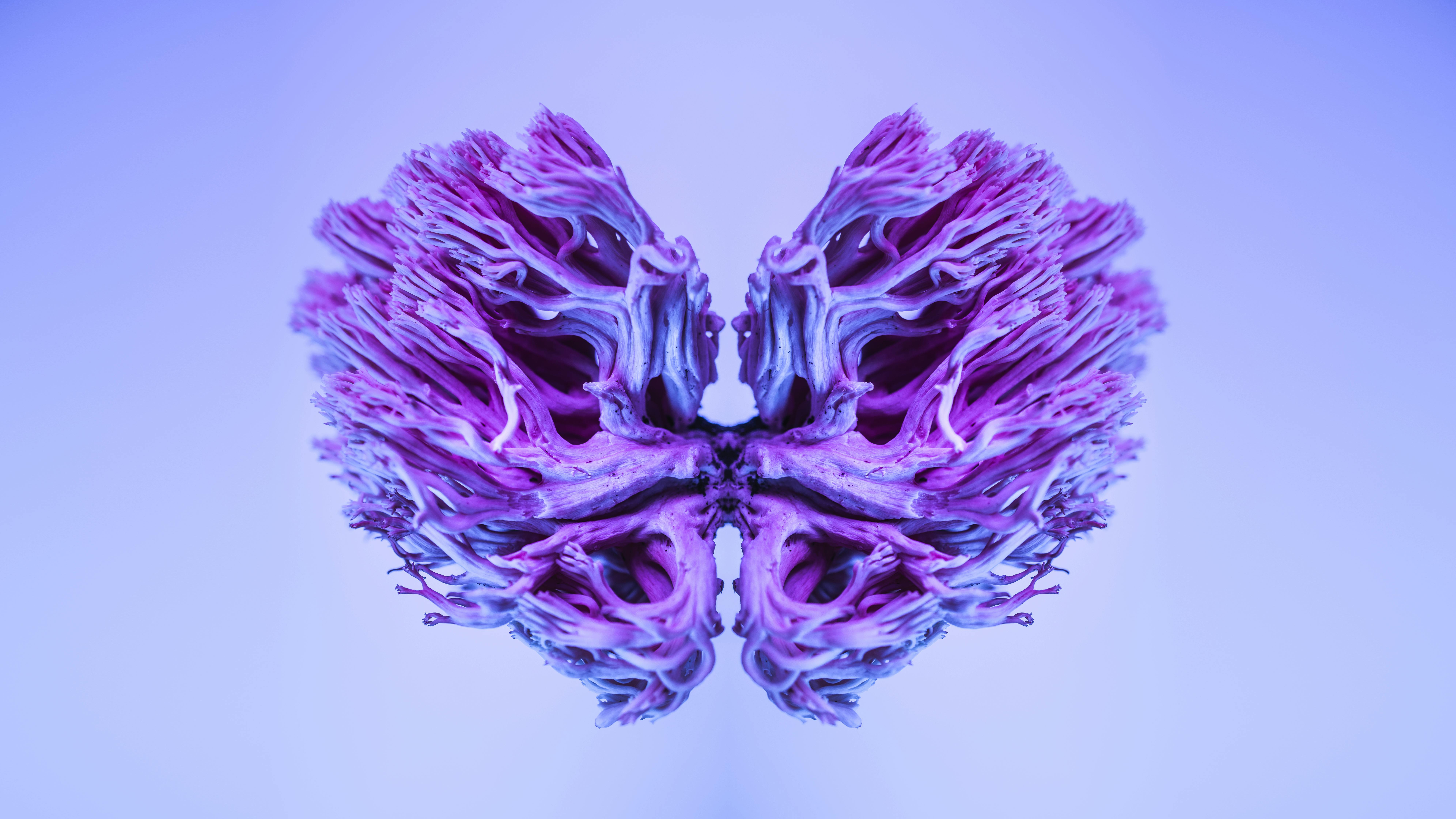 Enhertu for lung cancer: Where is it approved and how to get it?