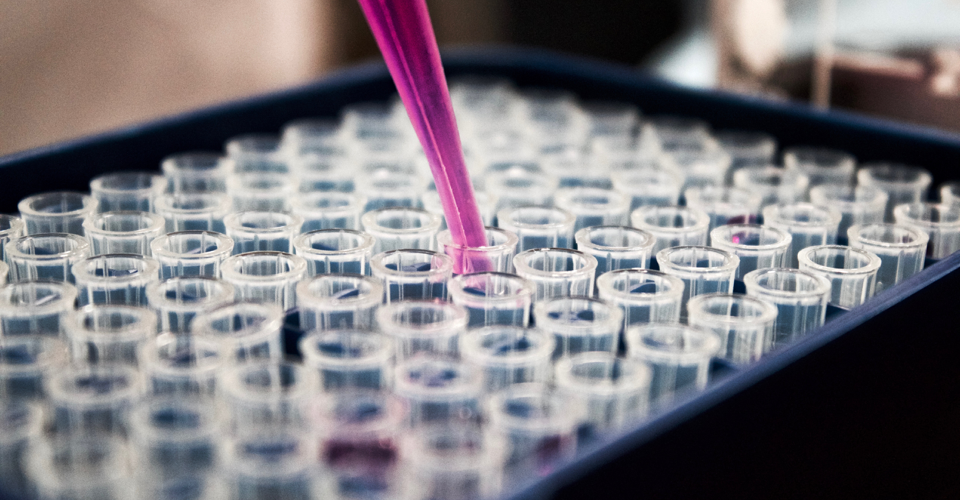 Pipette Samples pipette samples