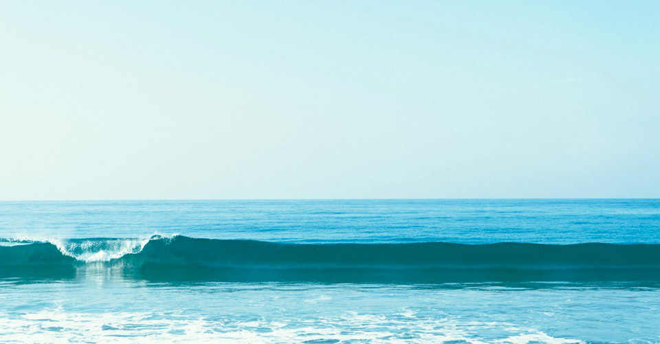 You can’t stop the wave, but you can learn to surf startup health thesocialmedwork